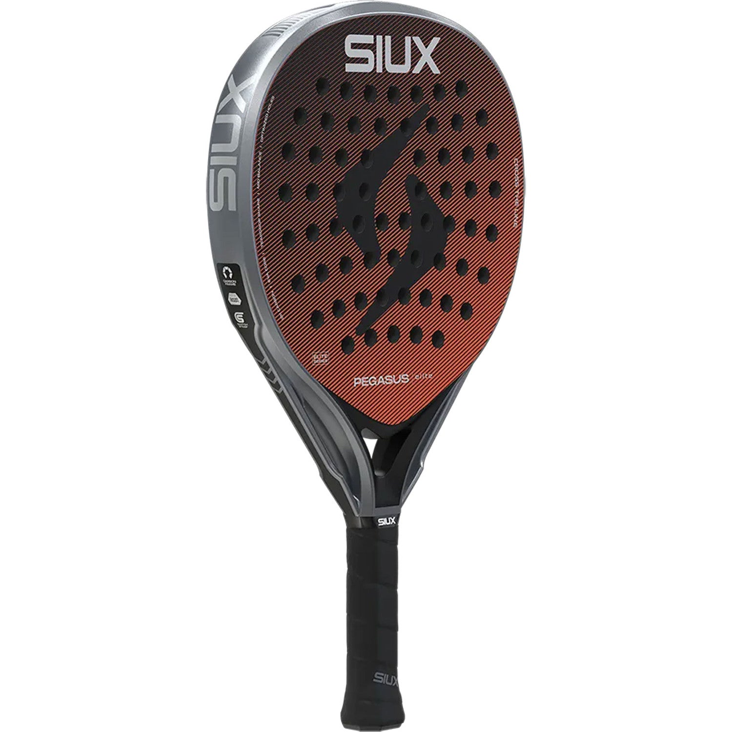 Siux Pegasus Elite 4 2026