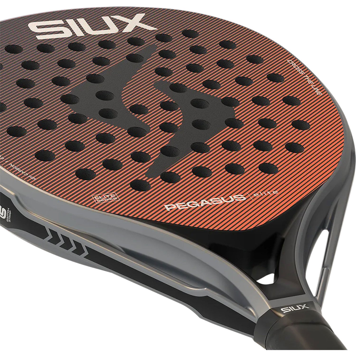 Siux Pegasus Elite 4 2026